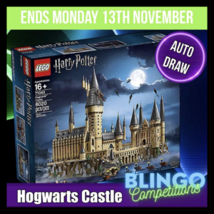 LEGO Hogwarts Castle or £300