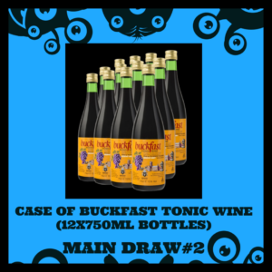 Case of Buckfast Tonic Wine (12x750ml Bottles)