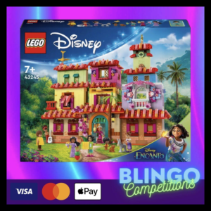 Encanto Lego Set