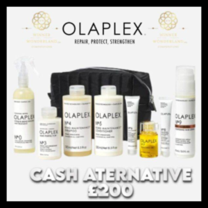 Olaplex Healthy Hair Bundle worth £240 LOW ODDS