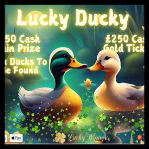£2500 DUCK RACE INSTANT WINS COMPETITION FOR JUST 99P