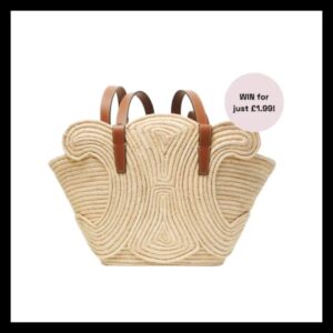 WIN Celine Classic Panier Small Braided Triomphe